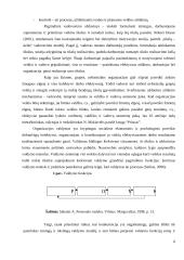 Valdymo analizė žemės ūkio bendrovėje 6 puslapis