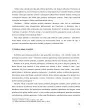 Tarptautinė prekyba paslaugomis  13 puslapis