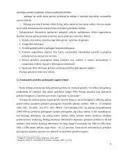 Tarptautinė prekyba paslaugomis  5 puslapis