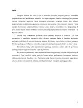 Tarptautinės prekybos darbas 2 puslapis