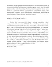 Tarptautinės prekybos darbas 11 puslapis