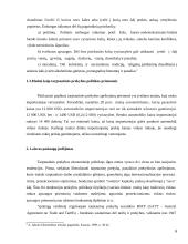 Tarptautinės prekybos darbas 6 puslapis