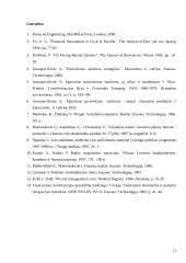 Euro ir JAV dolerio kurso pasikeitimų prognozė 11 puslapis