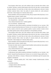 Japonijos ir JAV ekonominio bendradarbiavimo pasekmės XXI amžiuje 11 puslapis