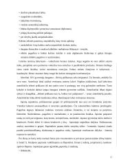 Japonijos ir JAV ekonominio bendradarbiavimo pasekmės XXI amžiuje 12 puslapis