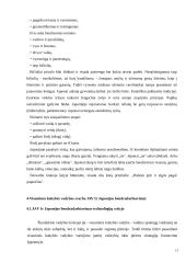 Japonijos ir JAV ekonominio bendradarbiavimo pasekmės XXI amžiuje 13 puslapis