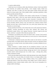 Japonijos ir JAV ekonominio bendradarbiavimo pasekmės XXI amžiuje 20 puslapis