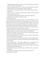 Japonijos ir JAV ekonominio bendradarbiavimo pasekmės XXI amžiuje 9 puslapis