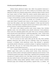 Japonijos ir JAV karinis bendradarbiavimas 3 puslapis