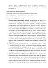 Užsienio valiutos rinka  12 puslapis