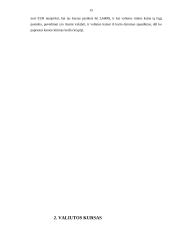 Užsienio valiutos rinka  13 puslapis