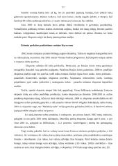 Užsienio valiutos rinka  19 puslapis