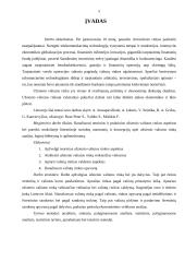 Užsienio valiutos rinka  3 puslapis