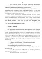 Užsienio valiutos rinka  6 puslapis