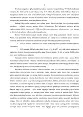 Užsienio valiutos rinka  7 puslapis