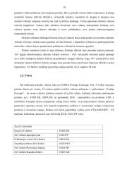 Užsienio valiutos rinka  8 puslapis