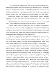 Užsienio valiutos rinka  9 puslapis