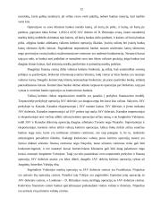 Užsienio valiutos rinka  10 puslapis