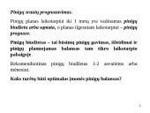 Trumpalaikio turto finansinis valdymas 11 puslapis