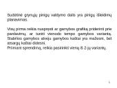 Trumpalaikio turto finansinis valdymas 13 puslapis