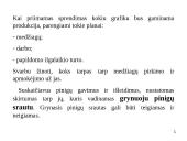 Trumpalaikio turto finansinis valdymas 14 puslapis