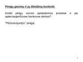 Trumpalaikio turto finansinis valdymas 10 puslapis