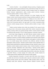 VSFD biudžeto sudarymas ir vykdimas  2 puslapis