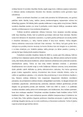 VSFD biudžeto sudarymas ir vykdimas  11 puslapis