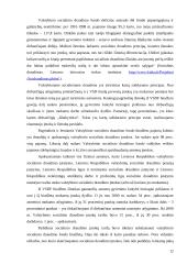 VSFD biudžeto sudarymas ir vykdimas  12 puslapis