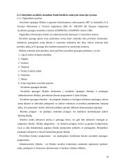 VSFD biudžeto sudarymas ir vykdimas  19 puslapis