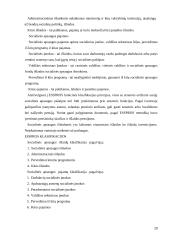 VSFD biudžeto sudarymas ir vykdimas  20 puslapis