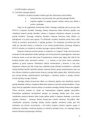 VSFD biudžeto sudarymas ir vykdimas  4 puslapis