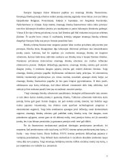 VSFD biudžeto sudarymas ir vykdimas  5 puslapis