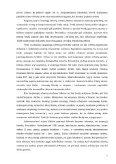 VSFD biudžeto sudarymas ir vykdimas  7 puslapis