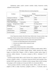 VSFD biudžeto sudarymas ir vykdimas  8 puslapis