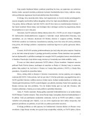 ES, Nato ir Rusijos santykiai 7 puslapis