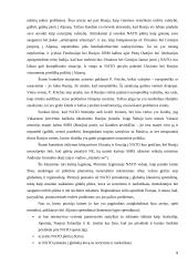 ES, Nato ir Rusijos santykiai 8 puslapis