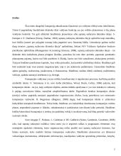 Samatų sudarymas ūkininkų ūkyje 2 puslapis