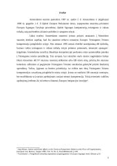 Amsterdamo sutarties pasirašymo ypatumai ir teisinė reikšmė 2 puslapis