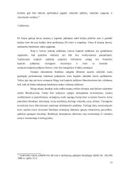 Amsterdamo sutarties pasirašymo ypatumai ir teisinė reikšmė 13 puslapis