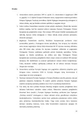 Amsterdamo sutarties pasirašymo ypatumai ir teisinė reikšmė 14 puslapis