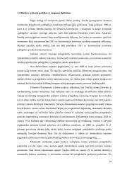 Amsterdamo sutarties pasirašymo ypatumai ir teisinė reikšmė 10 puslapis