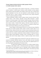 ES institucijų teisinė įtaka nacionalinūms socialinės apsaugos sistemoms 3 puslapis