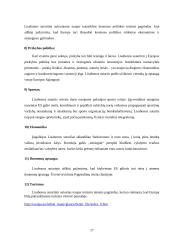  ES biudžeto formavimas ir paskirstymo ypatumai  17 puslapis