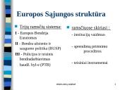 Europos Sąjungos teisė 11 puslapis