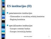 Europos Sąjungos teisė 13 puslapis