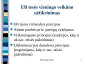 Europos Sąjungos teisė 16 puslapis
