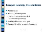 Europos Sąjungos teisė 19 puslapis