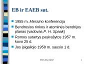 Europos Sąjungos teisė 3 puslapis