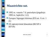 Europos Sąjungos teisė 4 puslapis